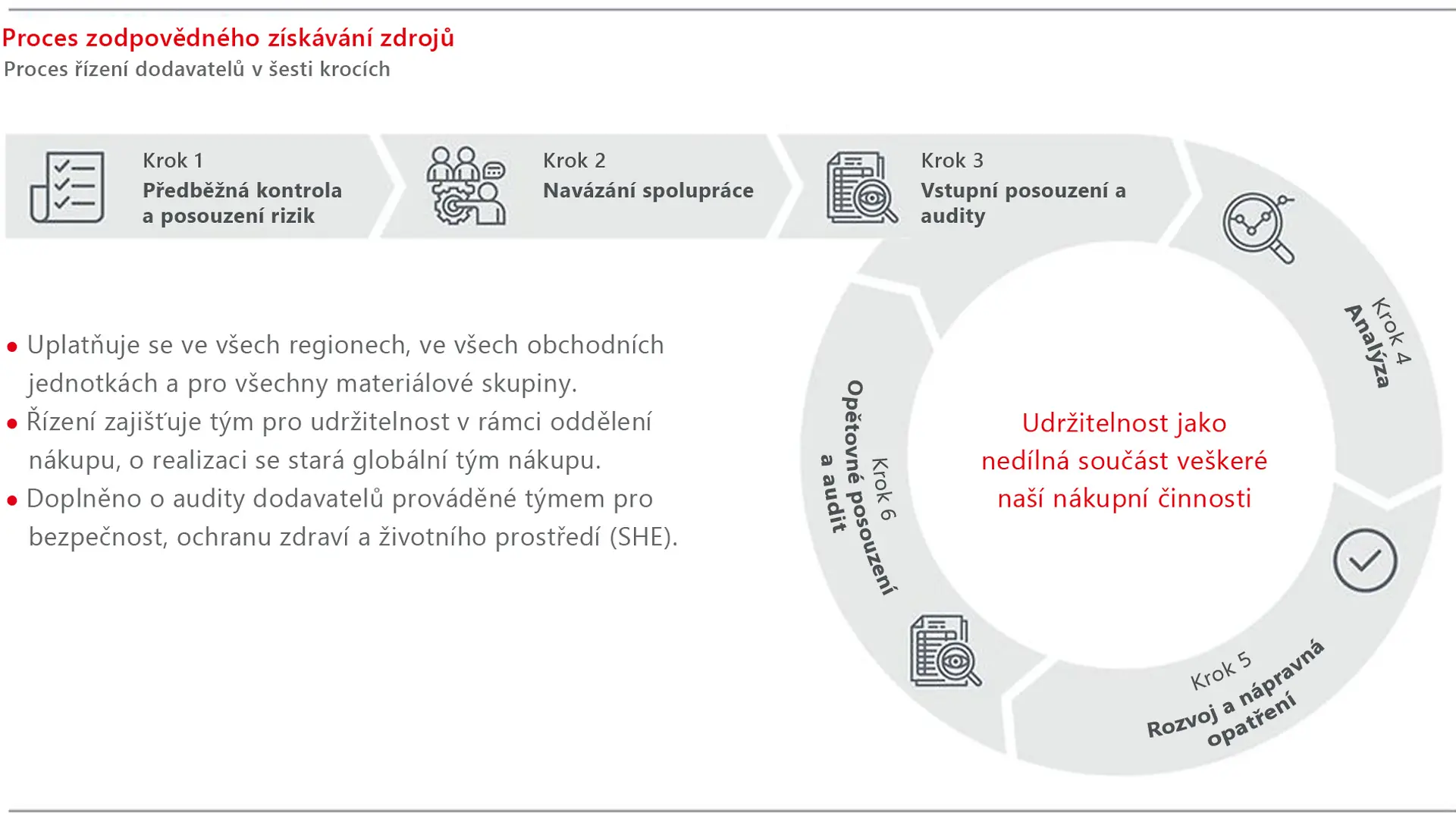 Grafika procesu zodpovědného získávání zdrojů ve společnosti Henkel